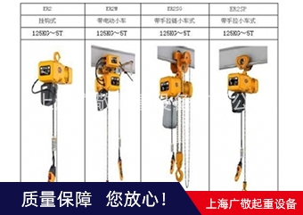 厂家直销保用一年 环链蜜桃视频污APP入口 250公斤 300公斤 500公斤 1吨
